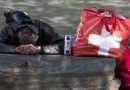 Miles de personas en Suiza caen en la pobreza al jubilarse